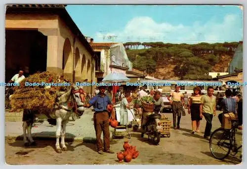 D328512 Espana. Barcelona. Calella. Blick auf den Markt. J. Planchart. Postkarte