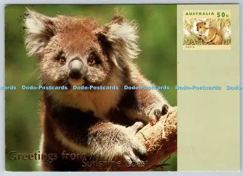 D333707 Grüße von Sunshine Coast. Australian Wildlife. G. und R. Wilson. A.