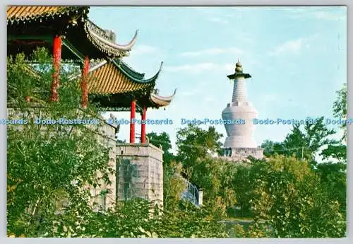 D331077 Die schöne Szene der weißen Pagode. Yang Chow. Hongkong