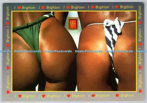 D331079 Brighton. Löwe Karten. Golden Shield