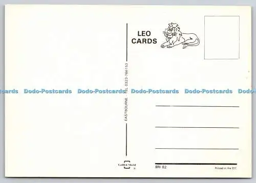 D331079 Brighton. Löwe Karten. Golden Shield