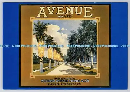 D328546 Avenue. Zitrusetikett. Adrian Bucklow Kollektion. Santoro Grafik. Londo