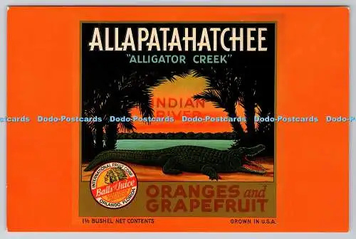 D328547 Alligator Creek 1930. Sammlung von Jerry Chicone Jr. International Frui