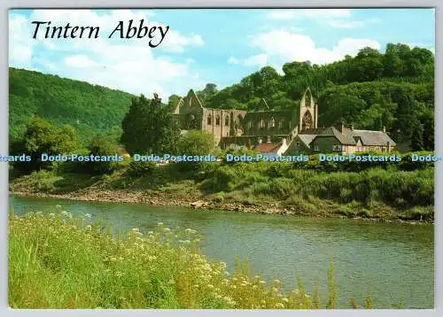 D328552 Tintern Abbey vom Fluss Wye. J. Salmon. Sevenoaks. Cameracolour Pos