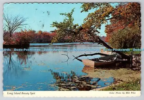 D328553 Long Island Beauty Spot. Peconic River fließt durch den Grnagibel Park in R