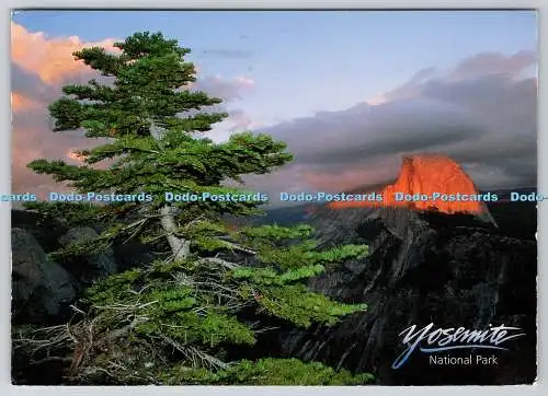 D328560 Yosemite Nationalpark. Ira Meyer. Schlag. U.S.A. Gedruckt in Korea. N.