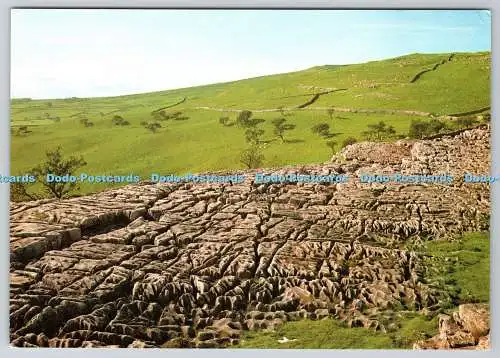D328565 Yorkshire. Malham. Kalksteinpflaster. DRG. J. Arthur Dixon. Great Brita