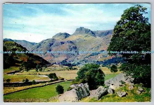 D328584 Langdale Hechte und Bogenfell. E. A. Bowness. J. Arthur Dixon. Newport. Co