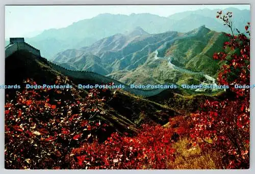 D331165 Der Große Saal. Herbstlaub an der Großen Mauer. Fremdsprachenpresse