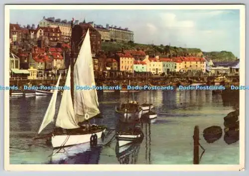 D331255 Whitby Harbour. Richter. C. 100
