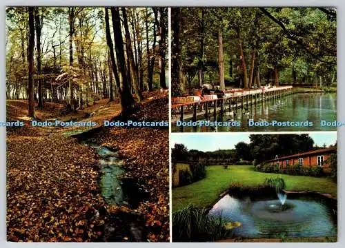D333931 Waldschlosschen Dobrock. R. u. J. Moller. Atelier. Farbfoto