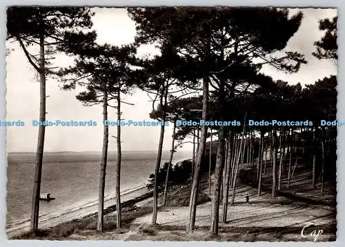 D333950 Bassin d Arcachon. Le Moulleau. Les Abatilles. KAPPE. RP