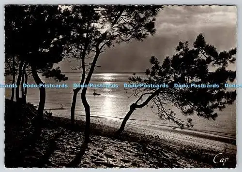 D333951 Arcachon. Cote d Argent. Coucher de Soleil. KAPPE. RP