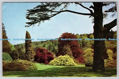 D333954 Sussex. Horsham. Leonardslee Gardens. Der Rasen unter dem Haus. Litho Pr