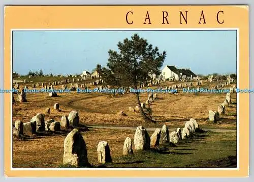 D333979 Carnac. Morbihan. Die Ausrichtungen bei Le Menec. Jos. 1991