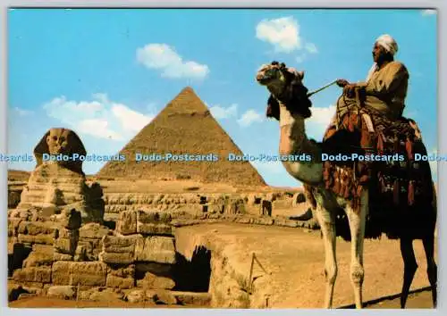 D333981 Gizeh. Die Große Sphinx- und Khephren-Pyramide. Lehnert und Landrock. Kurt