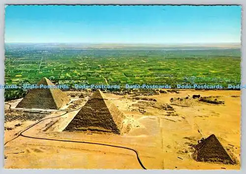 D333983 Gizeh. Luftbild der Pyramiden. Kairo und Import und Vertrieb