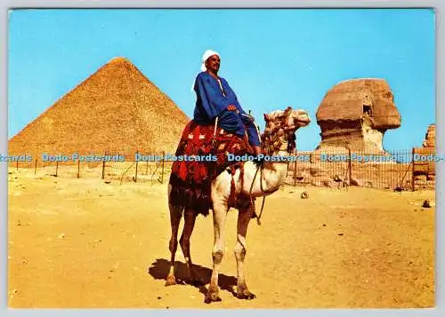 D333985 Gizeh. Kameltreiber in der Nähe der Sphinx und Pyramide von Khufu