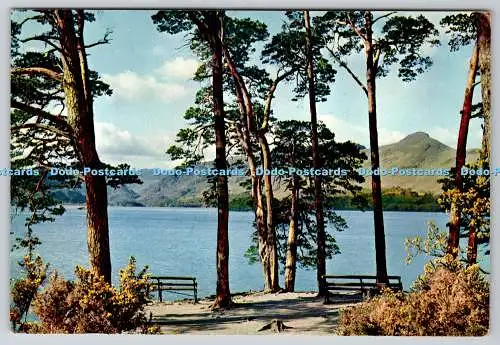 D334051 Derwentwater vom Bruderfelsen. Ein Lieblingsblick mit Blick auf Katzenglocken a