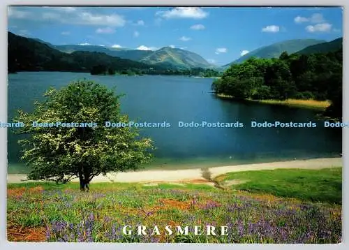 D334061 Grasmere. Cumbria. John Hinde. Redruth. Cornwall. Vic Guy. 1997