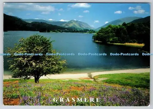 D334062 Grasmere. Cumbria. John Hinde. Redruth. Cornwall. Vic Guy. 1997