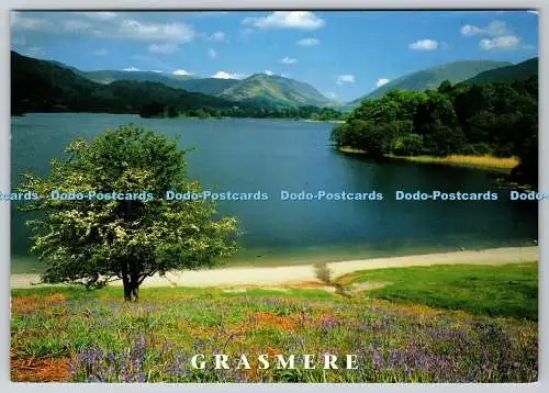 D334063 Grasmere. Cumbria. John Hinde. Redruth. Cornwall. Vic Guy. 1998