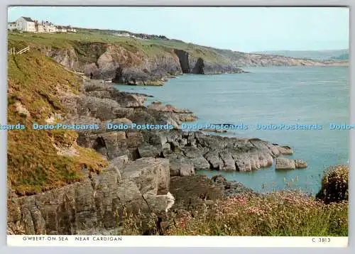 D328120 Gwbert on Sea. Nahe Strickjacke. Judges Ltd. Hastings