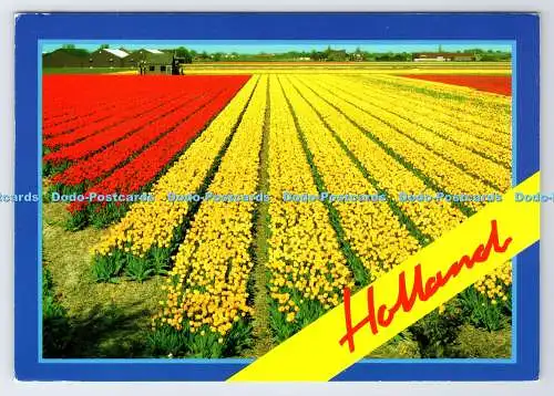 D336003 Holland. H. A. M. A. R. Postkarte