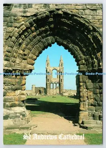 D336086 St. Andrews Cathedral. Whiteholme. Dundee