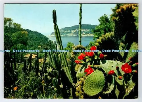 D336103 La Cote d Azur Miracle de la Nature. Ses Jardins. Yvon. S.P.A.D.E.M