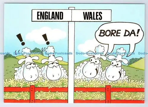 D338037 England Wales. Bohrung Da. Richter. C. 25550. Frottee Irvine