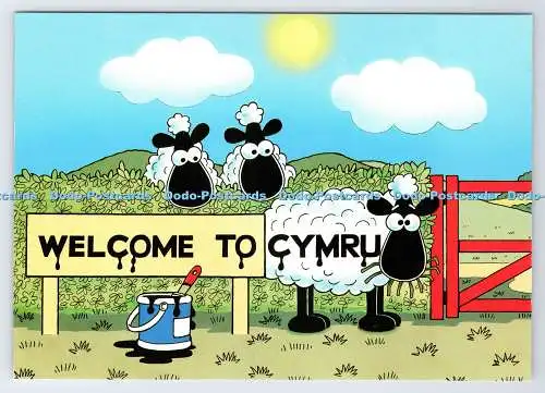 D338038 Willkommen bei Cymru. Richter. C. 25549. Frottee Irvine
