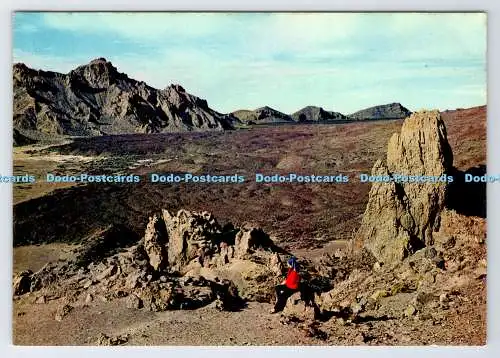 D336139 La Orotava. Teneriffa. Islas Canarias. Lavaströme in Las Canadas. J.