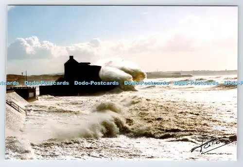 D338066 Wimereux. Cote D Opale. Jean Celie