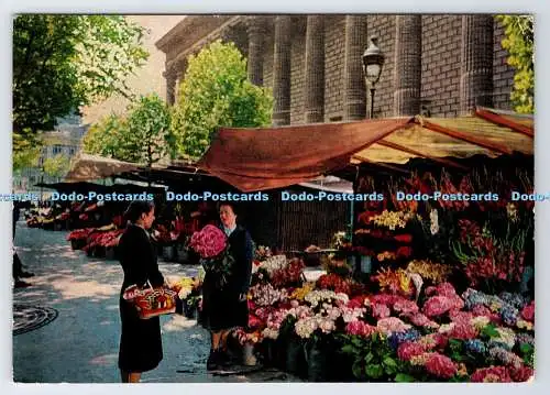 D336191 Paris. Blumenmarktplatz de la Madeleine. Panoramen