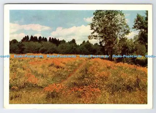 D336212 Der Sommer. UdSSR. Postkarte
