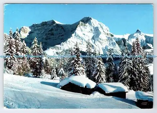 D336220 Adelboden. Berner Oberland. Winterlandschaft im Stiegelschwand. Klopfens