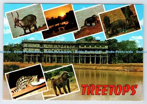 D336241 Baumkronen. Kenia. Kenia Schreibwaren. Dino Sassi. Multi View