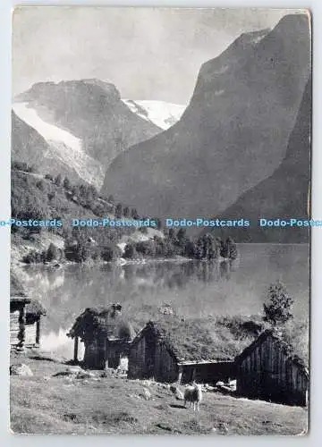 D338179 Loenvann. A. B. Wilse. Riemen