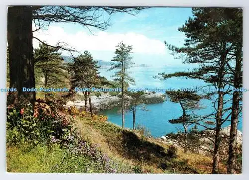 D336272 C.I. Guernsey. Kiefernwald. St. Martin. Jarrold. Norwich