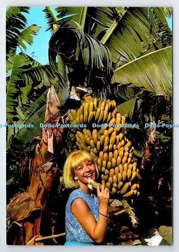 D338190 Teneriffa. Platanos Maduros. Euluan