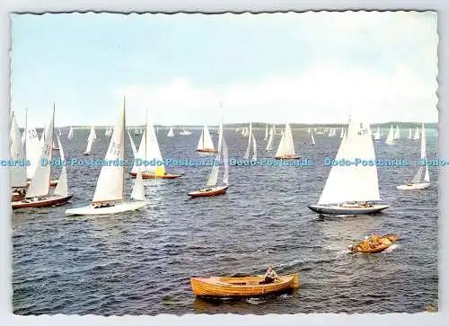 D336286 Marstrand. Segelregatta. H. Lindenhag