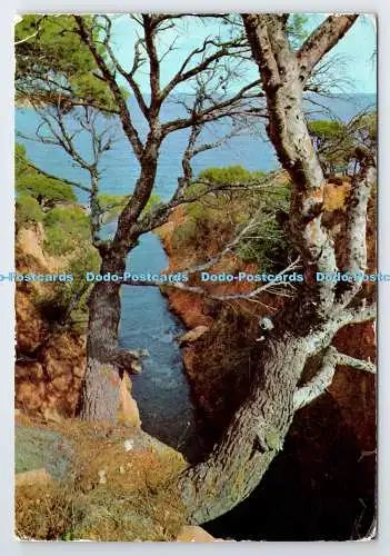 D338201 Costa Brava. San Feliu de Guixols. Blick auf die Küste. Farbe Zerkowitz