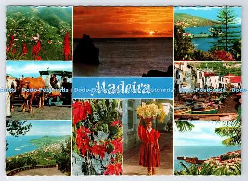D336301 Madeira. Die beste Aussicht auf Madeira. Hans Huber. F. Ribeiro. Multi View