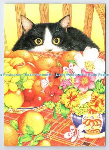 D338217 Katze am Tisch. Postkarte
