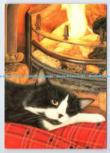 D338219 Katze am Kamin. Postkarte
