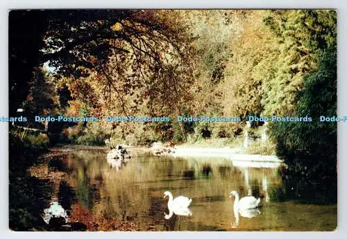D336307 Isle of Wight. Bonchurch Pond. J. Arthur Dixon. Newport. I.W. England