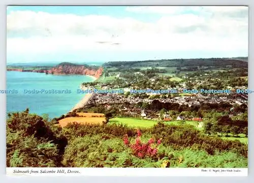 D336319 Devon. Sidmouth von Salcombe Hill. John Hinde. E. Nagele