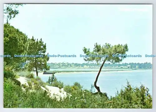 D338293 Torralta. Portugal. Troia. Lagoa de Troia. A. d Atouguia
