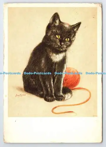 D338308 Kat. Hans Lang. Katze